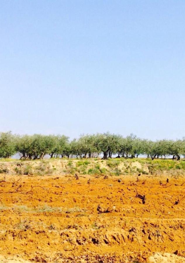 Le 17 Otel Courthézon Dış mekan fotoğraf