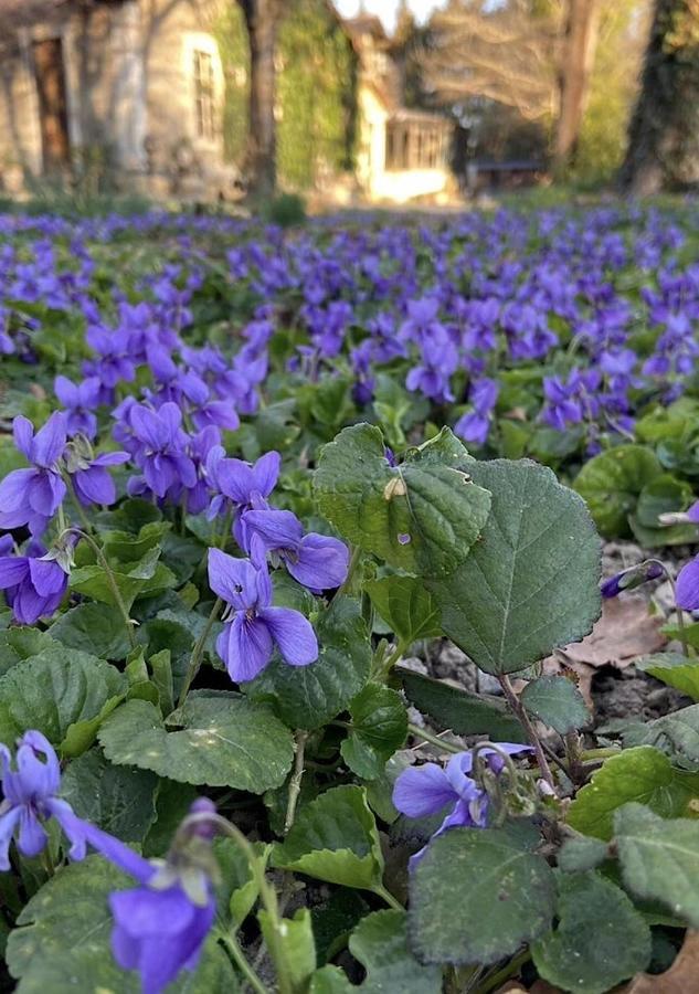 Le 17 Otel Courthézon Dış mekan fotoğraf