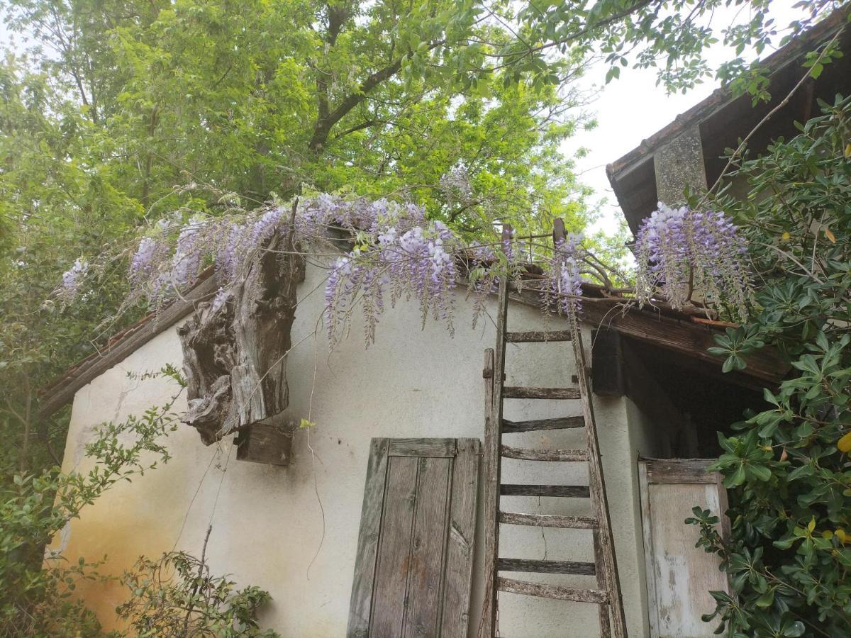 Le 17 Otel Courthézon Dış mekan fotoğraf